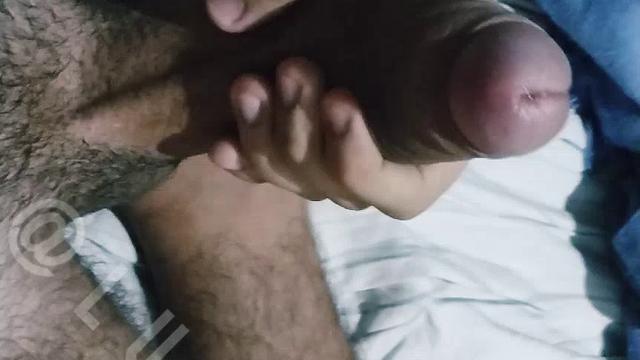 Exibição