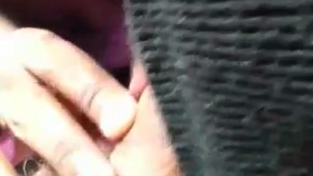 Male putting the bitch to suck delicious