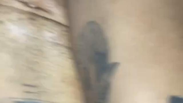 Comendo o tatuado gostoso do Ceará 