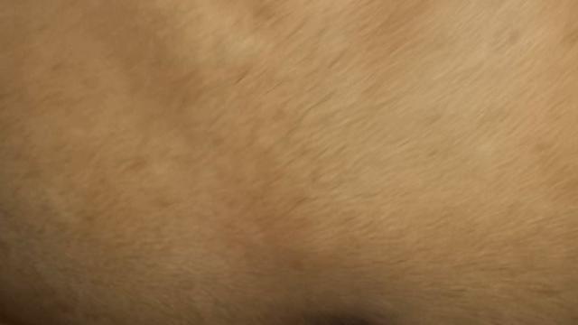 MENAGE COM OS AMIGOS