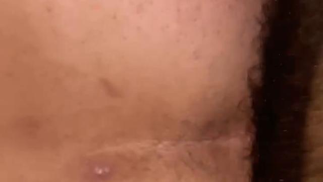 O urso vadio parte 1