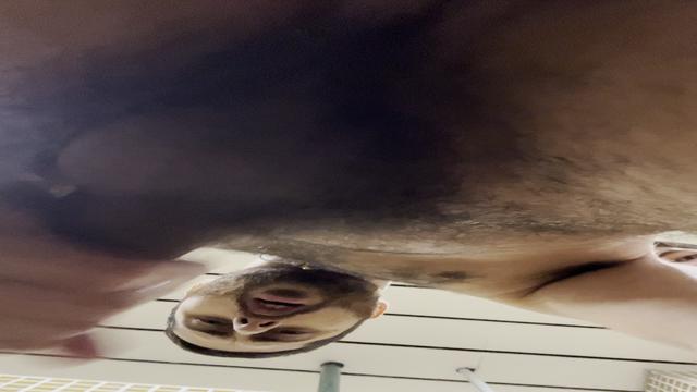 Os videos postado nas minhas plataformas são 100% ca...