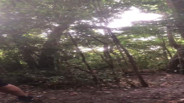 Putaria no bosque