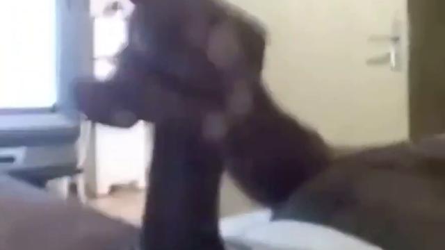 Moreno maduro enganado