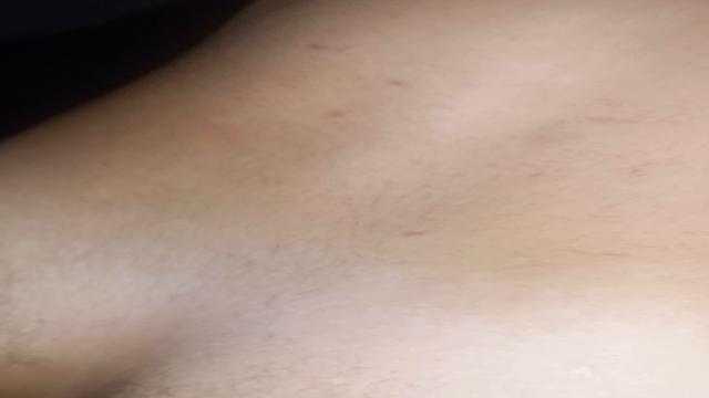 Novinho leitado