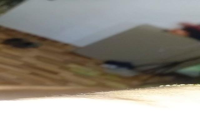 Meti a pica no mlk pausado no banheiro 