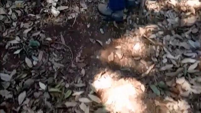 237- parrudinho mete igual cavalo