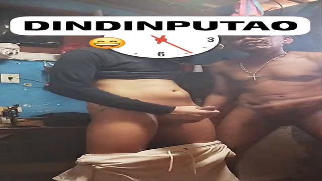 Dindin e novinho 