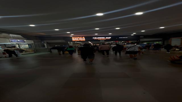 Vídeo de como chegar no banho do Tietê 