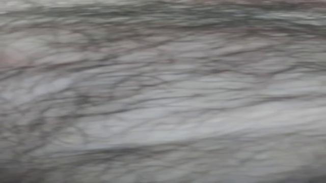 Vídeo 2 dessa delícia depois de leitar continua com ...