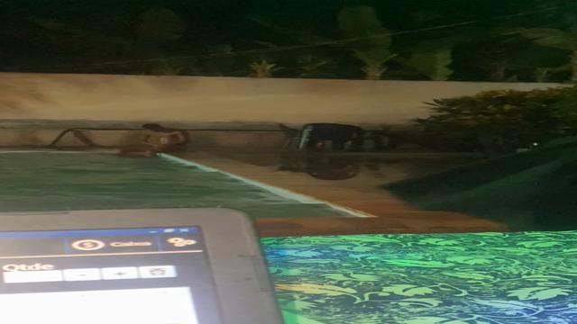 Lazer na piscina 