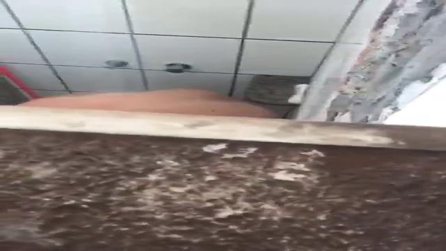 Caminhoneiro no banho