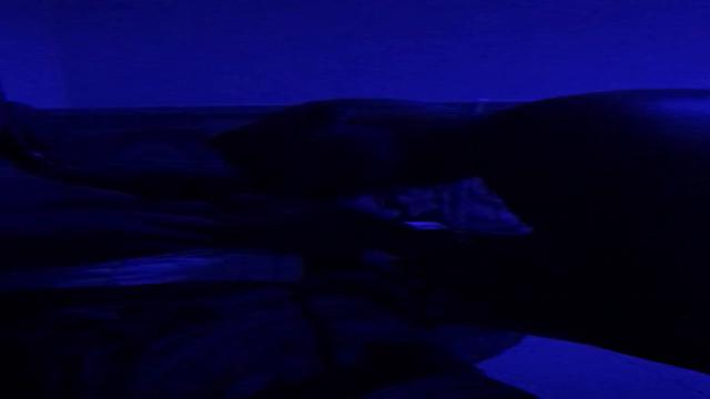 Gravação de conteúdo ao vivo - Sábado!