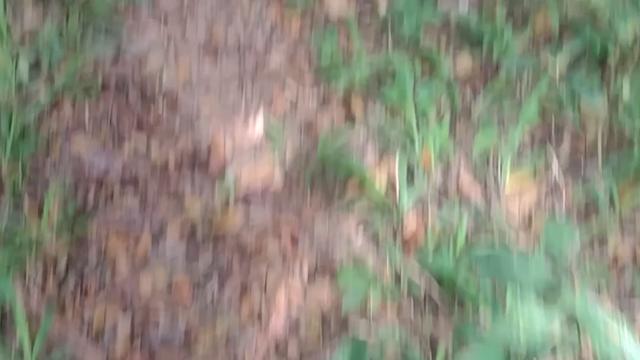 Brotheragem  gostosa 