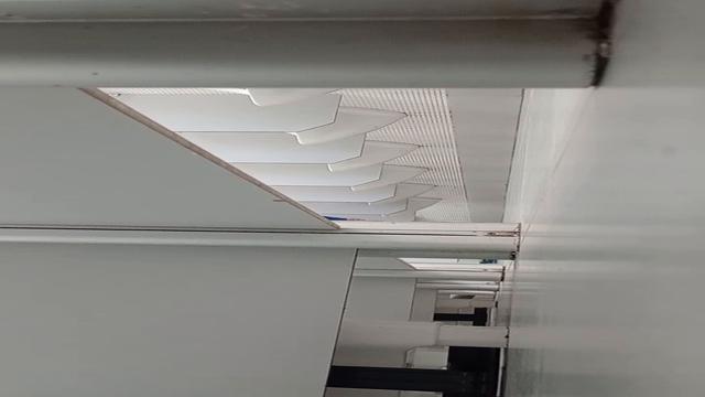 Filmei dois pauzões aqui