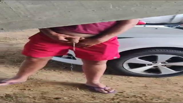 Mijada no carnaval