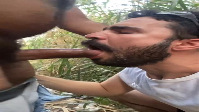 Trilha 
