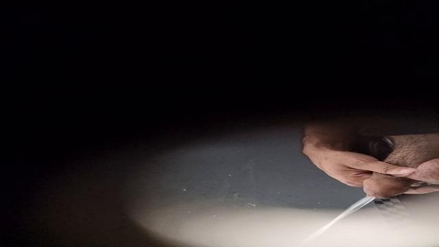 Spy