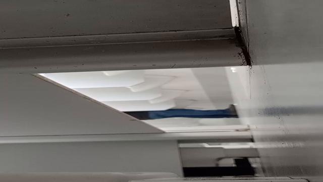 Paus muito bons de ver 