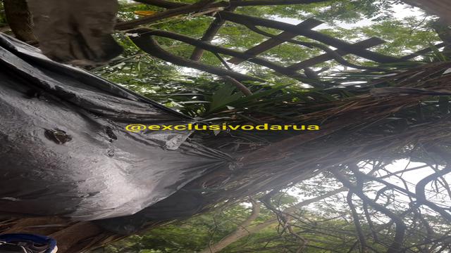 The crackhead sat nicely on my cock. 