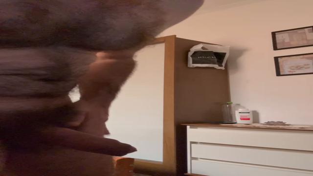 pauzao mole é grande e grosso