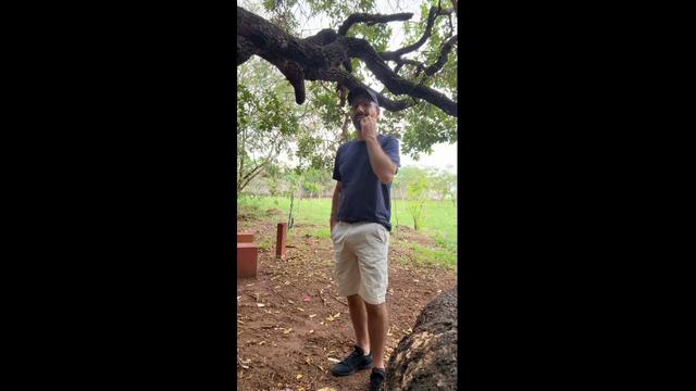 Quando nao gozo de manha o pau fica duro o dia todo