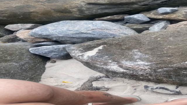 Praia de abricó sempre rende