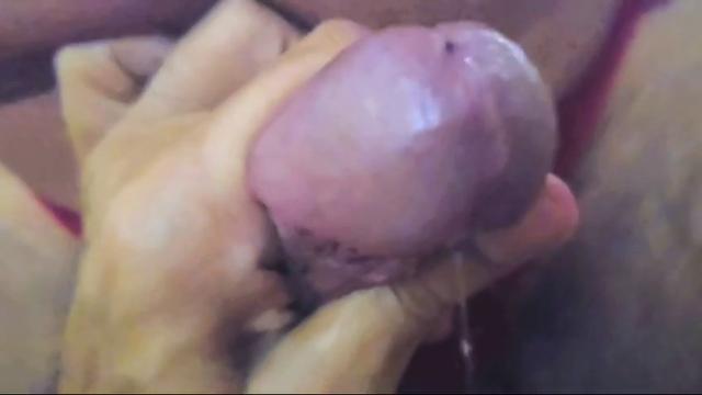 TERCEIRA PARTE COMENDO PUTINHA 