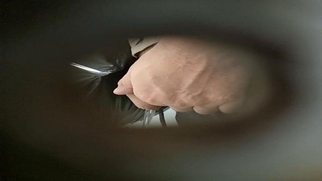 Spy