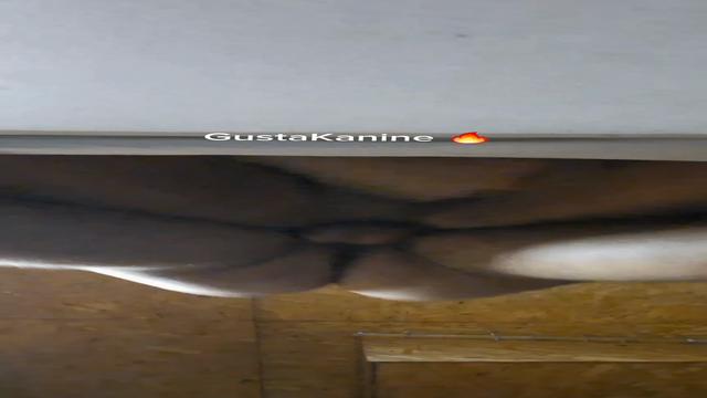 Priminho Venho Jogar um Game #V9