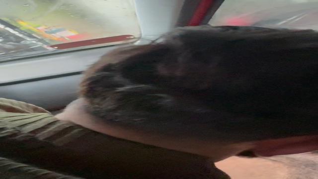 Motorista de aplicativo Uber 