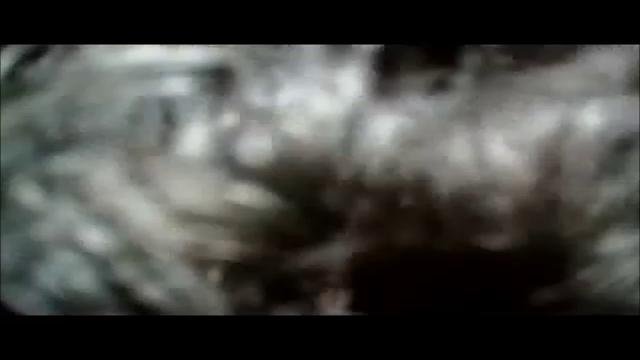 Dindin e dindinzinho 