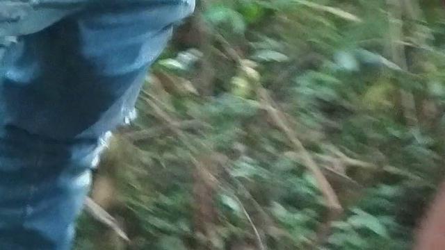 feriadao dando por novinho nO mato