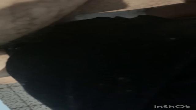 COMPILADO DE TRECHOS DE VÍDEOS COM CAMINHONEIROS QUE...