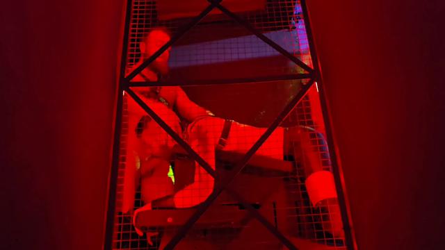 2025 February: Free Wolf