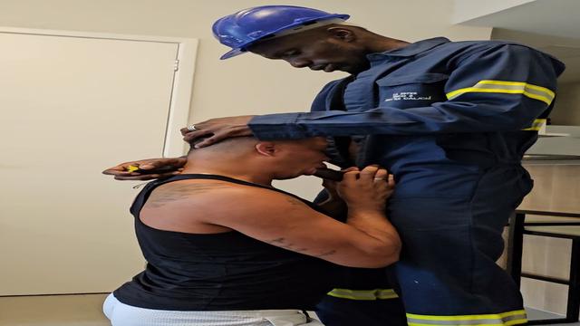 O marido de aluguel ?