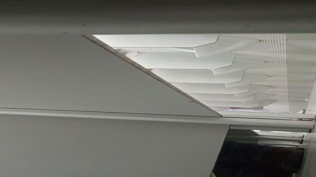 Que maravilhoso ver esses paus que delícia 