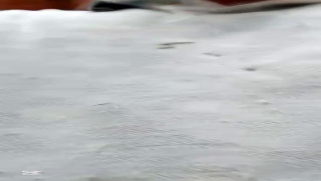 Maduro gozando com a mulher no quarto kkk safado dem...