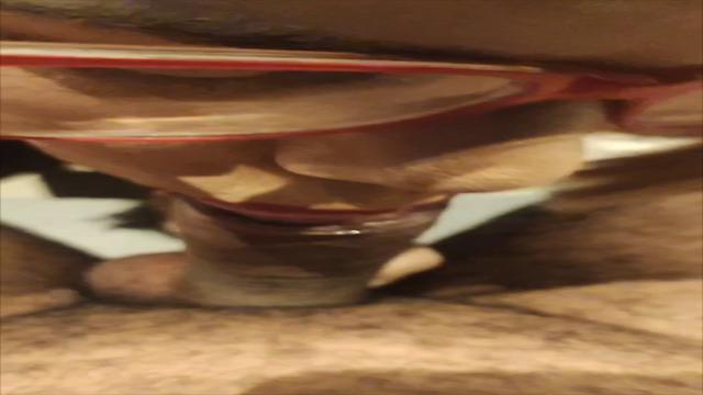 Negão dando leite na boca da putinha