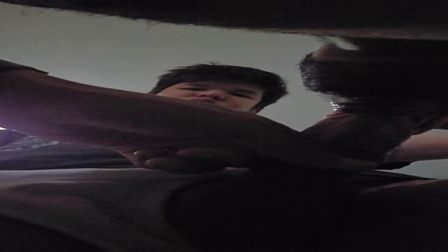 Botei o brother hetero pra mamar minha rola