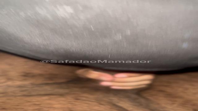 Mamando meu macho amor novinho cavalão de 24 cms de ...