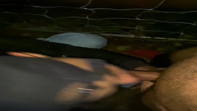 Mamando picudo no campinho de futebol