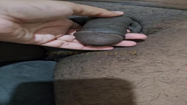 O Torcedor Negão do Vitória 