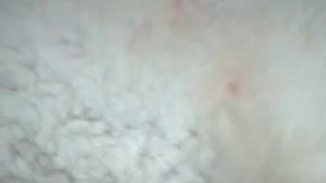 Sexo