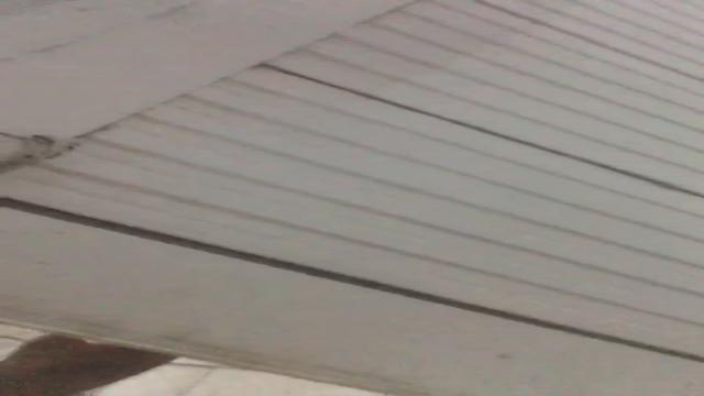 Caminhoneiro no banho