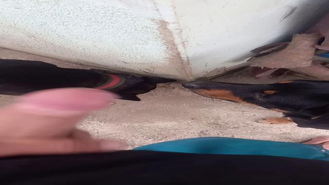 Mais um vídeo que o Gambiarra saiu todo leitado 