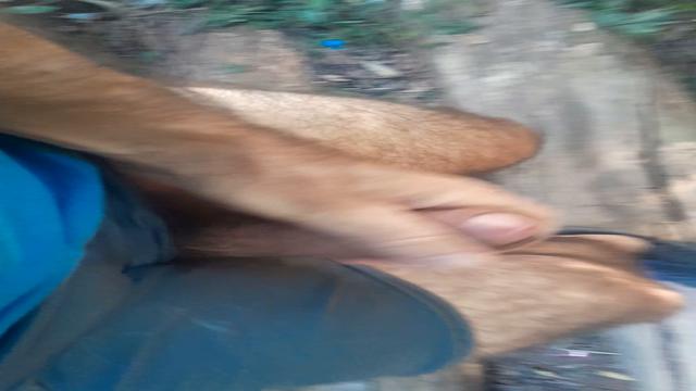 Segundo video comparando o pau com a lata de coca co...