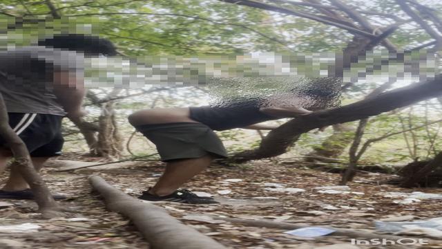 levei várias leitadas.  na trilha 