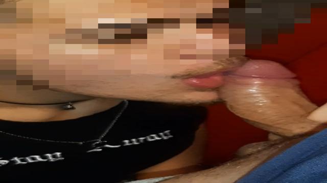 17. IMPLOREI POR PIKA para o loironho e ele me botou...