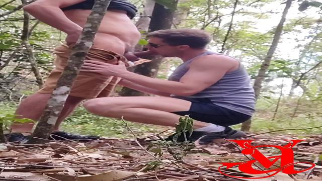 Vídeo 295 - Rapidinha no matinho